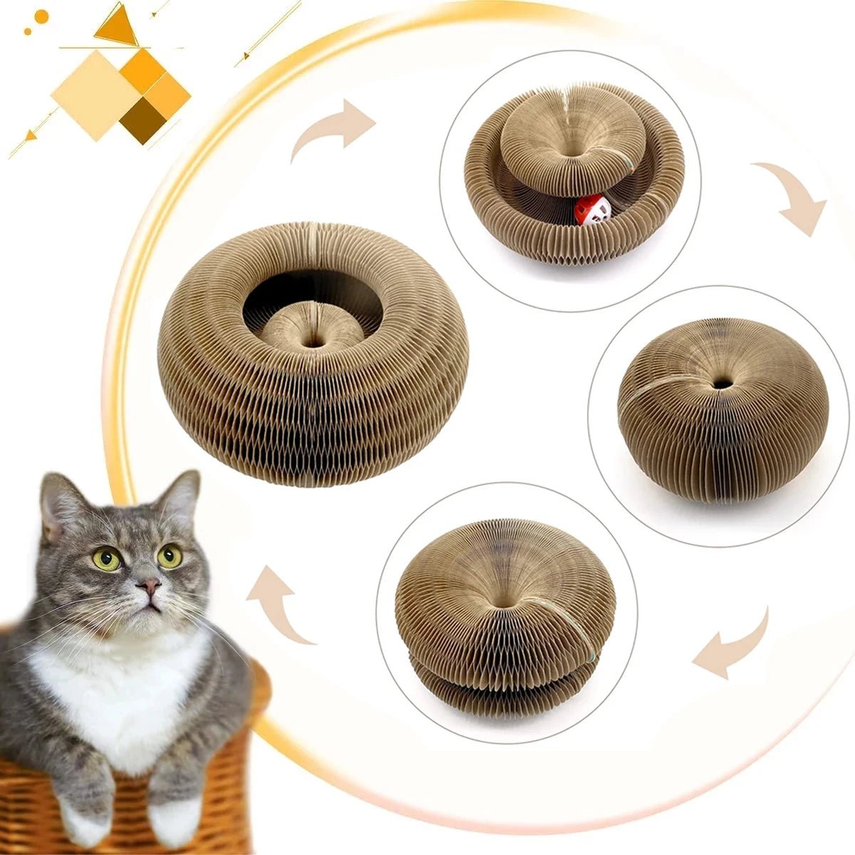 Organ Cat Scratcher - Ferylis