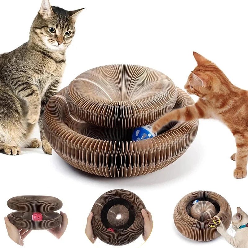 Organ Cat Scratcher - Ferylis