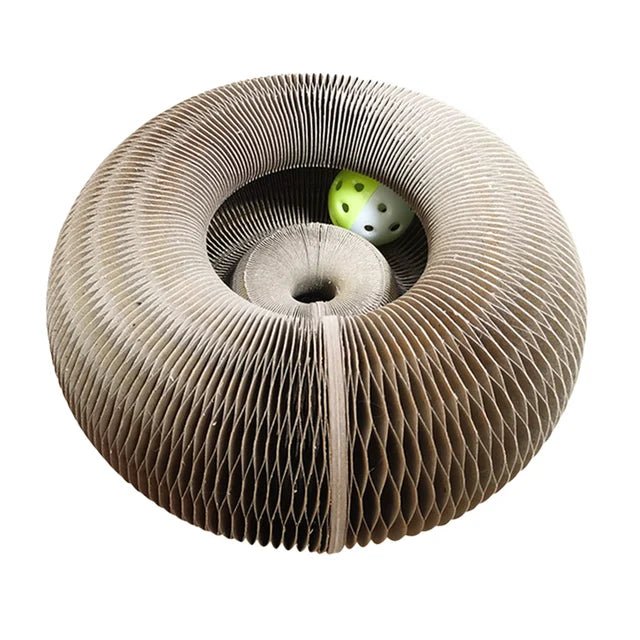Organ Cat Scratcher - Ferylis