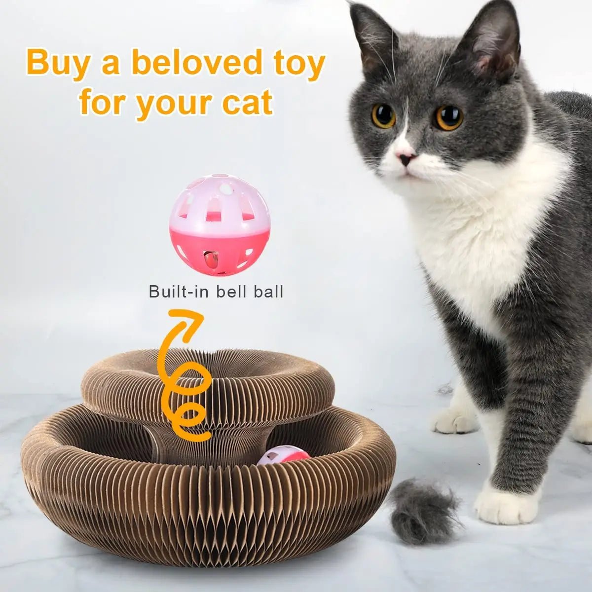 Organ Cat Scratcher - Ferylis