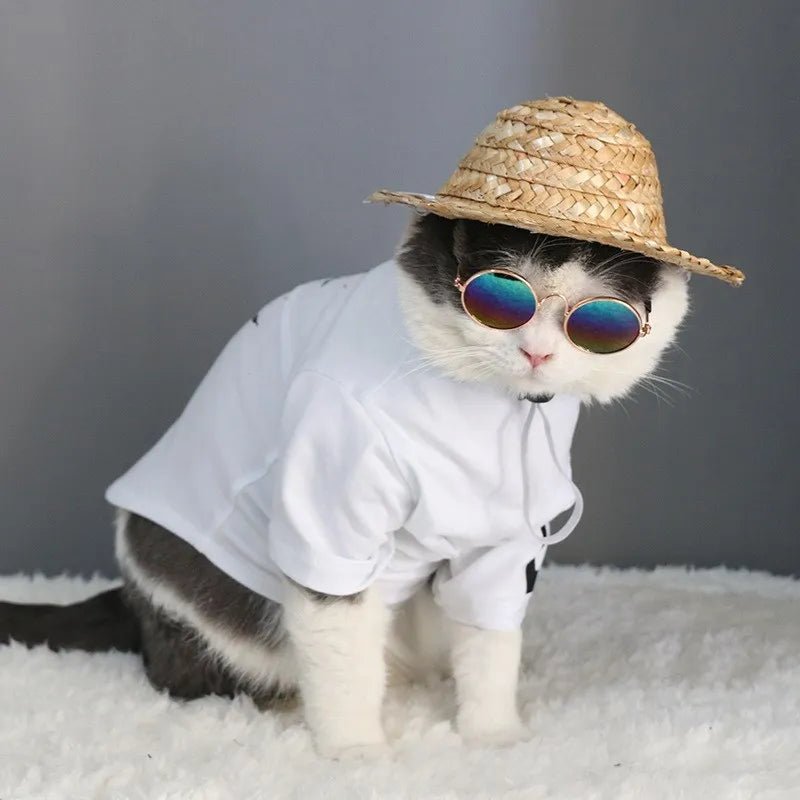 Pet Sunglasses - Ferylis